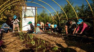 ΔΕΗ και OpenFarm Προωθούν τη Βιώσιμη Γεωργία στους Μαθητές μέσω του “Carbon Farming Schools”